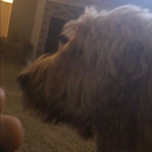 Meet your Posher, Kendra